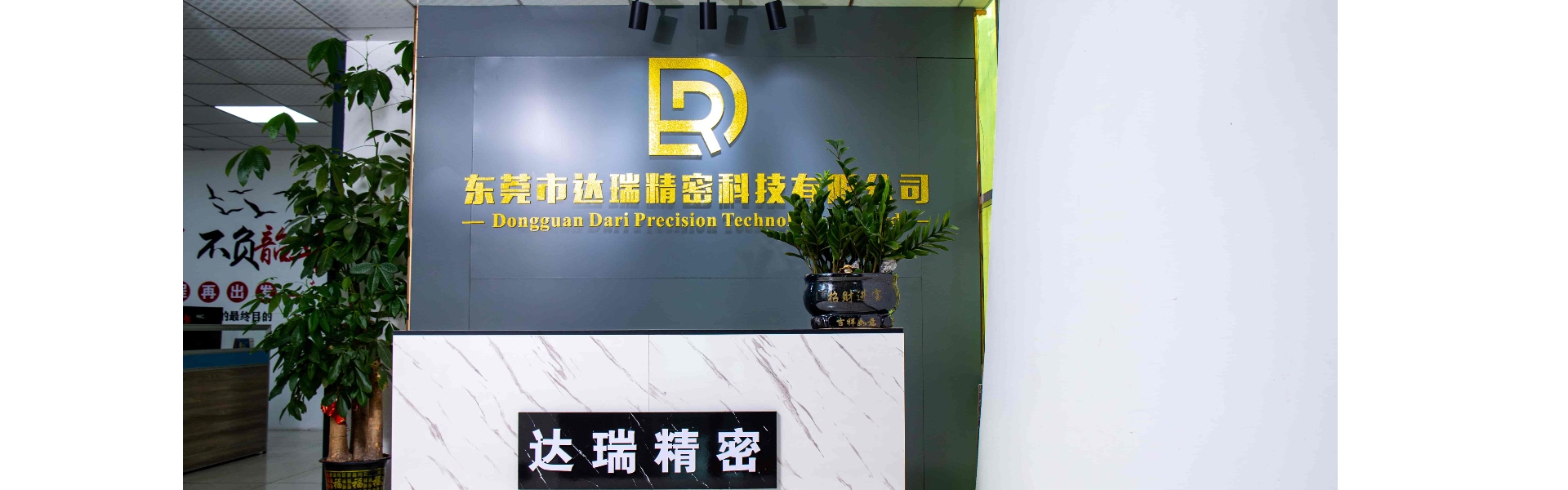 Khuônnhựa, ép phun, vỏnhựa,Dongguan Darui Precision Technology Co., Ltd.